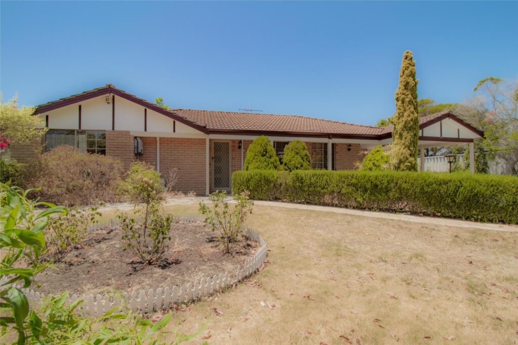 Agent226 Rental Extra 2308280