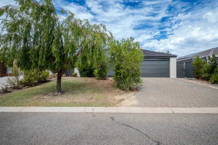 Agent226 Rental Extra 4234700